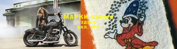 jwh Снежногорск