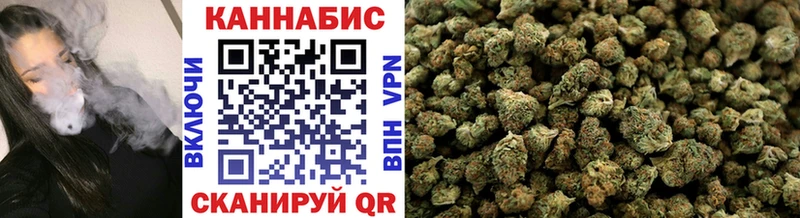 Купить  Онега  Бошки Шишки сатива 